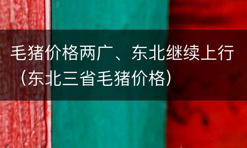 毛猪价格两广、东北继续上行（东北三省毛猪价格）