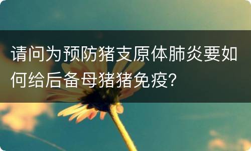 请问为预防猪支原体肺炎要如何给后备母猪猪免疫？