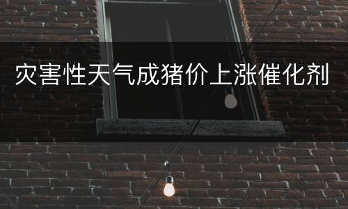 灾害性天气成猪价上涨催化剂