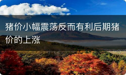 猪价小幅震荡反而有利后期猪价的上涨