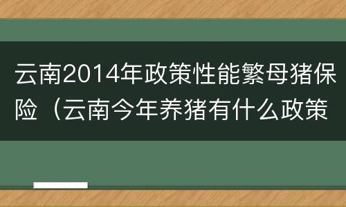 云南2014年政策性能繁母猪保险（云南今年养猪有什么政策）