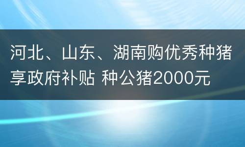 河北、山东、湖南购优秀种猪享政府补贴 种公猪2000元