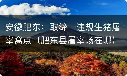 安徽肥东：取缔一违规生猪屠宰窝点（肥东县屠宰场在哪）