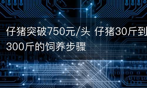 仔猪突破750元/头 仔猪30斤到300斤的饲养步骤