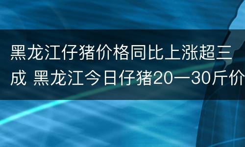 黑龙江仔猪价格同比上涨超三成 黑龙江今日仔猪20一30斤价格查询