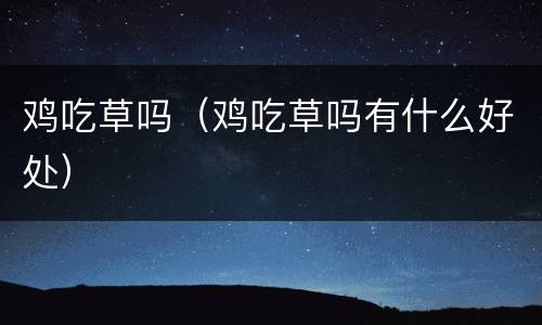 鸡吃草吗（鸡吃草吗有什么好处）