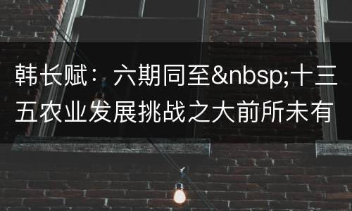 韩长赋:六期同至 十三五农业发展挑战之大前所未有