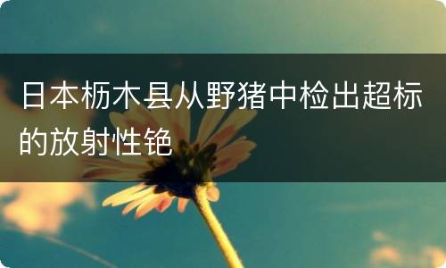 日本枥木县从野猪中检出超标的放射性铯