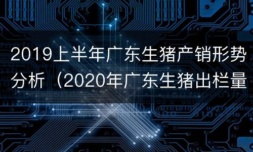2019上半年广东生猪产销形势分析（2020年广东生猪出栏量）