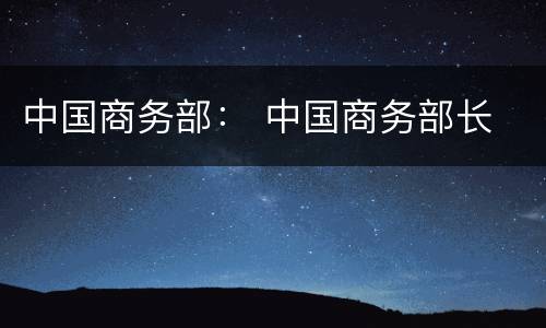 中国商务部： 中国商务部长