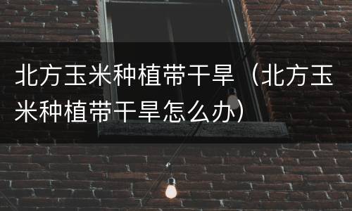 北方玉米种植带干旱(北方玉米种植带干旱怎么办)