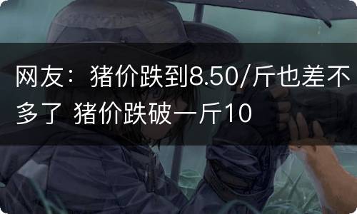 网友：猪价跌到8.50/斤也差不多了 猪价跌破一斤10