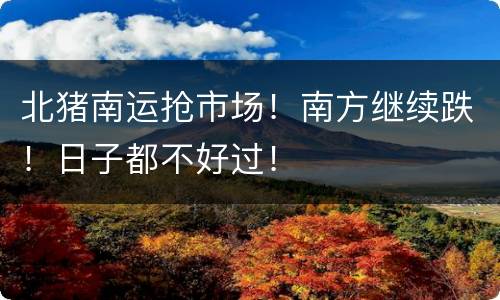 北猪南运抢市场！南方继续跌！日子都不好过！
