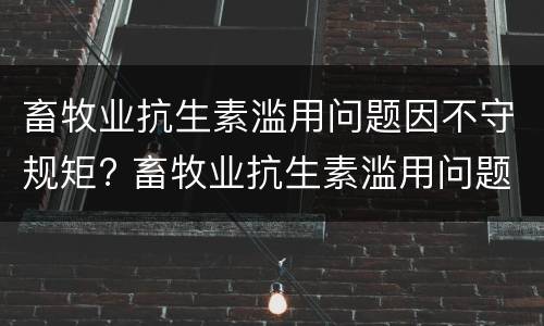 畜牧业抗生素滥用问题因不守规矩? 畜牧业抗生素滥用问题因不守规矩的原因