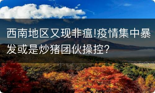 西南地区又现非瘟!疫情集中暴发或是炒猪团伙操控?