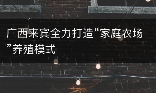 广西来宾全力打造“家庭农场”养殖模式