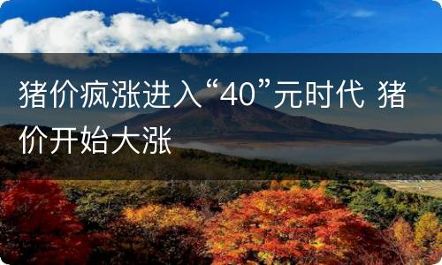 猪价疯涨进入“40”元时代 猪价开始大涨