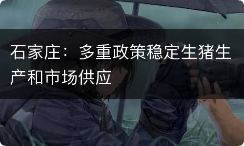 石家庄：多重政策稳定生猪生产和市场供应