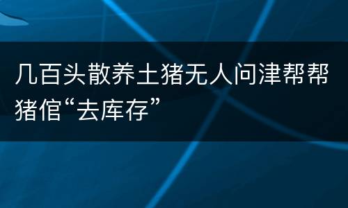 几百头散养土猪无人问津帮帮猪倌“去库存”