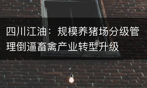四川江油：规模养猪场分级管理倒逼畜禽产业转型升级