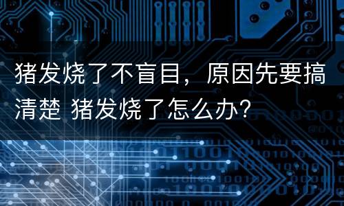 猪发烧了不盲目，原因先要搞清楚 猪发烧了怎么办?