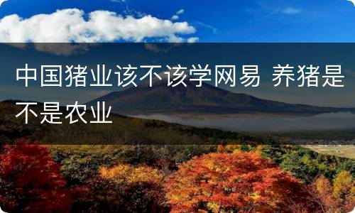 中国猪业该不该学网易 养猪是不是农业