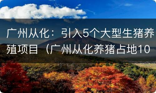 广州从化：引入5个大型生猪养殖项目（广州从化养猪占地1000亩）