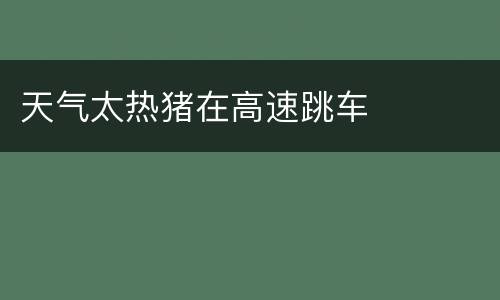 天气太热猪在高速跳车