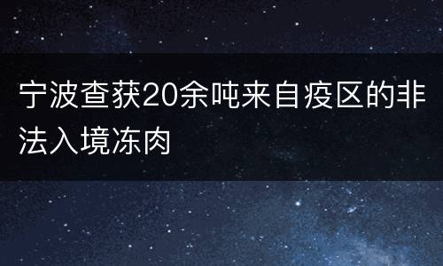 宁波查获20余吨来自疫区的非法入境冻肉