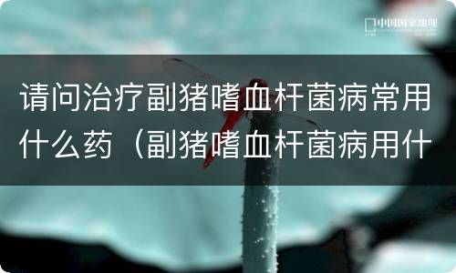 请问治疗副猪嗜血杆菌病常用什么药（副猪嗜血杆菌病用什么药效果最好）