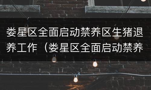 娄星区全面启动禁养区生猪退养工作（娄星区全面启动禁养区生猪退养工作的通知）