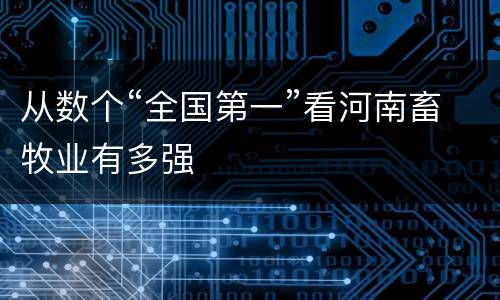 从数个“全国第一”看河南畜牧业有多强