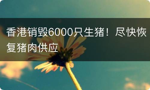 香港销毁6000只生猪！尽快恢复猪肉供应