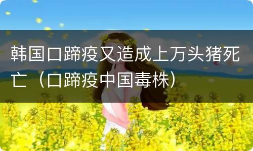 韩国口蹄疫又造成上万头猪死亡（口蹄疫中国毒株）