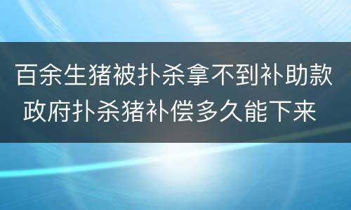 百余生猪被扑杀拿不到补助款 政府扑杀猪补偿多久能下来
