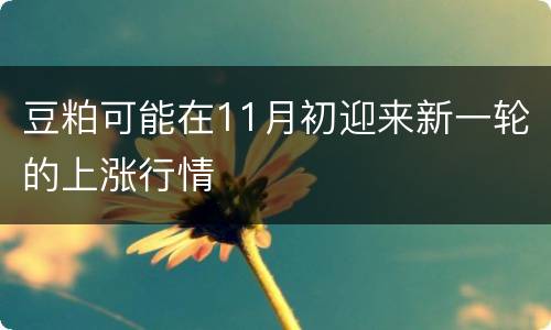豆粕可能在11月初迎来新一轮的上涨行情