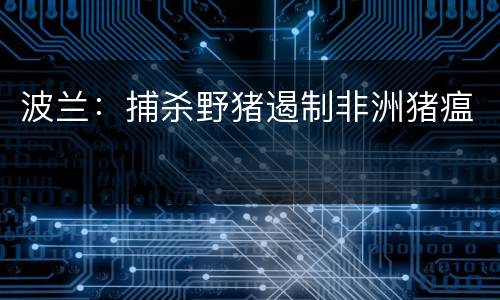 波兰：捕杀野猪遏制非洲猪瘟