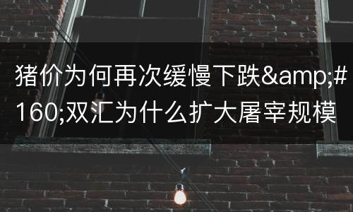 猪价为何再次缓慢下跌 双汇为什么扩大屠宰规模？