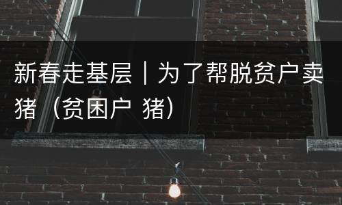 新春走基层｜为了帮脱贫户卖猪（贫困户 猪）