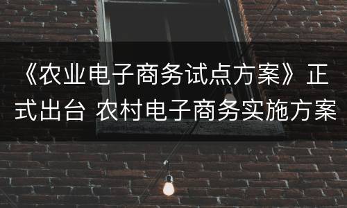 《农业电子商务试点方案》正式出台 农村电子商务实施方案