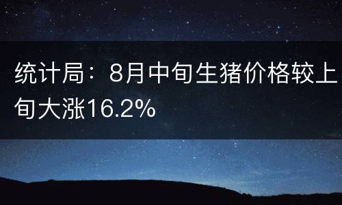 统计局：8月中旬生猪价格较上旬大涨16.2%