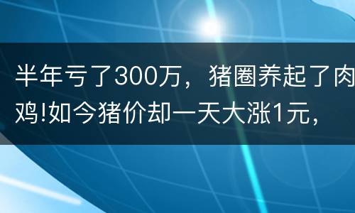 半年亏了300万，猪圈养起了肉鸡!如今猪价却一天大涨1元，你还养