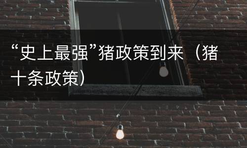 “史上最强”猪政策到来（猪十条政策）