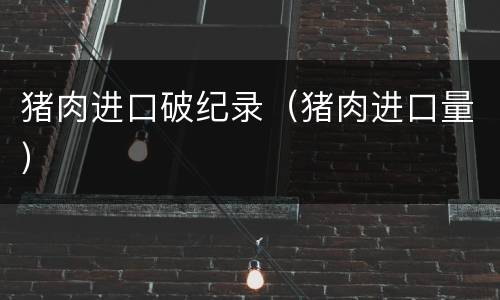 猪肉进口破纪录（猪肉进口量）