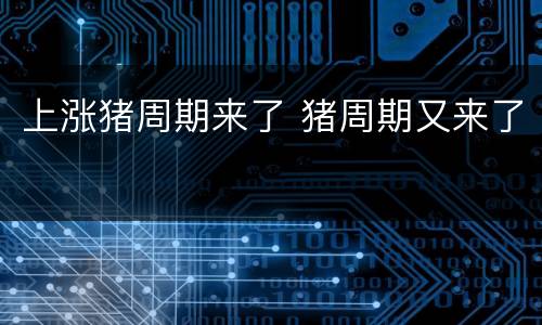 上涨猪周期来了 猪周期又来了