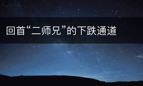 回首“二师兄”的下跌通道