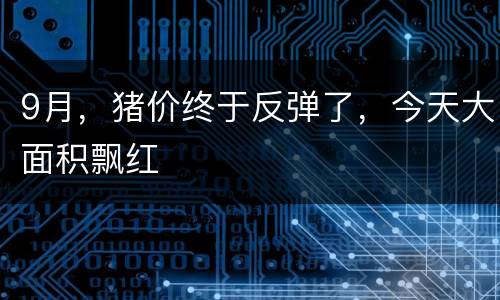 9月，猪价终于反弹了，今天大面积飘红