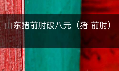 山东猪前肘破八元（猪 前肘）