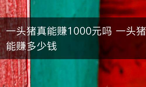 一头猪真能赚1000元吗 一头猪能赚多少钱