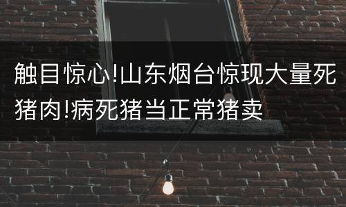 触目惊心!山东烟台惊现大量死猪肉!病死猪当正常猪卖